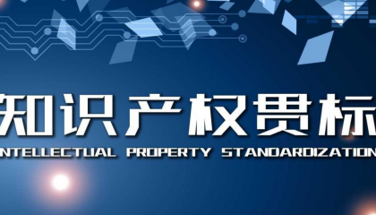 知识产权贯标服务
